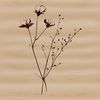 Beautiful Wildflower Clipart Graphic A colorful illustration of a single wild flower in full bloom, with realistic details and subtle shading.
