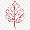An illustration of a single green leaf with detailed veins, suitable for digital design and crafting projects.