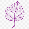 An illustration of a leaf in vector format for digital use.