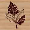 A beautiful leaf illustration with realistic details A detailed illustration of a single leaf with realistic veins and texture, suitable for vector art projects.