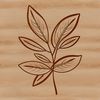 Detailed Leaf Design for Cricut and Laser Cutters A realistic 2D illustration of a single leaf with detailed veins and edges, suitable for vector design.