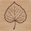 Free Stylized Leaf Clip Art A stylized illustration of a single green leaf with intricate details, suitable for vector graphics and digital design.