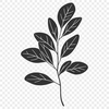 A stylized illustration of a single leaf with smooth edges and defined veins, suitable for vector graphic designs.