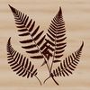 Free SVG Nature Clip Art An illustration of a single leaf with intricate details, suitable for vector art and cutting machine designs.