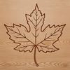 Free Maple Leaf Illustration A stylized illustration of a single maple leaf with detailed veins and edges.