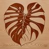 A realistic illustration of a Monstera leaf in vector format.