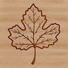 Beautiful Natural Leaf SVG Image A high-quality vector image of a solitary leaf in naturalistic detail.