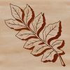 Realistic Leaf Vector Graphics An editable digital design of a realistic leaf suitable for graphic design projects.
