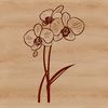 An illustration of a delicate orchid flower with intricate details, suitable for vector graphics and cutting machine designs.