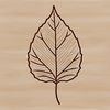Nature Graphic Leaf Illustration Illustrative leaf graphic in vector format