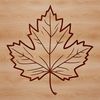 A detailed, scalable illustration of a single maple leaf in vector format, suitable for digital design and printing.
