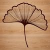 Stylized Leaf Clipart A single, stylized leaf with smooth curves, suitable for vector art and clipart.