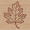 Intricate Oak Leaf Illustration A detailed illustration of an oak tree leaf with intricate veins and edges.