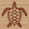 A detailed illustration of a sea turtle in a seaside setting.