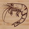 Seafood Illustration A detailed illustration of a single shrimp with its shell and legs.
