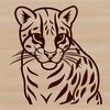 A close-up illustration of a wild ocelot's face with distinctive markings.