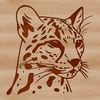Wild Ocelot Vector Portrait Wild ocelot animal head in vector format.