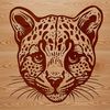 A close-up view of a wild ocelot's head and facial features.
