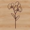 Exotic Blooming Orchid Illustration A detailed illustration of a blooming orchid plant with vibrant flowers and lush green leaves.