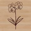 Exotic Orchid Floral Icon A delicate orchid flower with intricate petals and stems, suitable for vector art designs.