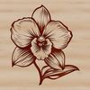 A detailed vector illustration of a single white orchid flower in a natural setting.
