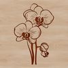 An illustration of a delicate orchid plant with intricate details.