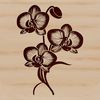 A high-quality illustration of a delicate white and purple orchid flower with intricate details.
