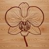 An intricately designed orchid flower with delicate petals, suitable for vector art and digital design projects.