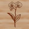 A stylized illustration of a delicate orchid flower with intricate details.