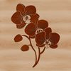 A close-up illustration of an orchid plant with detailed petals and stem.
