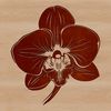A detailed vector art representation of an orchid plant, suitable for various applications.