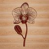 Beautiful Blooms: Orchid Illustration A detailed illustration of a flowering orchid plant with long stem and delicate petals.