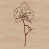 High-quality SVG illustration of a detailed orchid flower, suitable for digital art and craft projects.