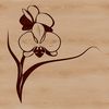 Free Orchid Clip Art Vector Image A stylized illustration of a blooming orchid flower in vibrant colors, suitable for digital use.