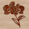 Elegant Orchid Clip Art An illustration of a delicate orchid flower with symmetrical petals and center details.