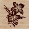 Detailed illustration of a vibrant orchid flower with delicate petals.
