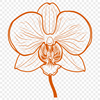 Unique Orchid Vector Illustration DXF - Free Download