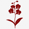 Free Orchid In PDF For Free Download