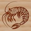 A detailed illustration of a shrimp, featuring intricate details and curved lines, suitable for vector graphics.