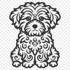 Unique Havanese PDF