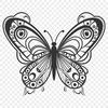 Free Creative Insect Vector Drawing