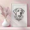 Ornate Labrador Retriever Image