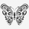 Stunning Insect SVG