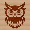 An illustration of an owl's head in detail, featuring feathers and facial features.