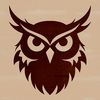 Owl Head Study in Detail A detailed illustration of an owl's head, showcasing its facial features and plumage.