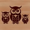 A stylized illustration of an owl's face, designed as a vector graphic for digital use.