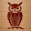 A detailed illustration of a perched owl with feathers and facial details, suitable for vector design.