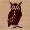 A perched owl in natural habitat, depicted in detailed illustration style.