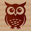 Adorable Owl Illustration A detailed illustration of a cute owl with expressive facial features, designed as vector art.
