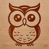 Whimsical Owl Line Art A simple line drawing of an owl's face with large round eyes and a small beak.